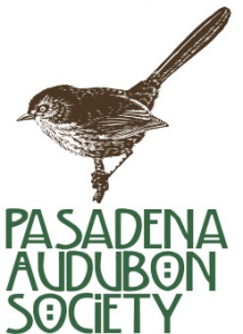 Pasadena Audubon logo with illustration of brown bird sitting on a branch